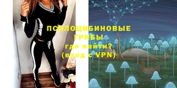дживик Баксан
