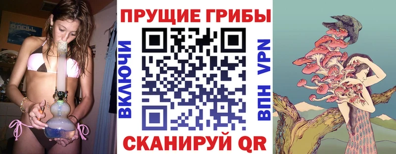 Купить  Серафимович  Галлюциногенные грибы мицелий 